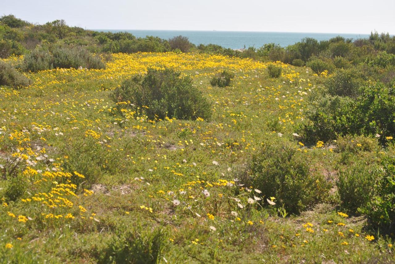 Stay At Bokkoms In Paternoster Self Catering Accommodation Екстер'єр фото