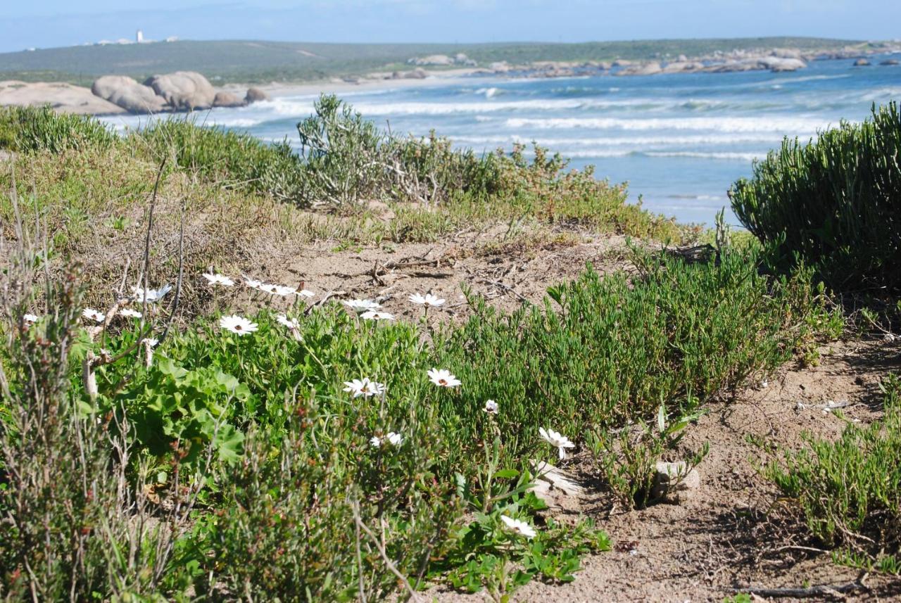 Stay At Bokkoms In Paternoster Self Catering Accommodation Екстер'єр фото
