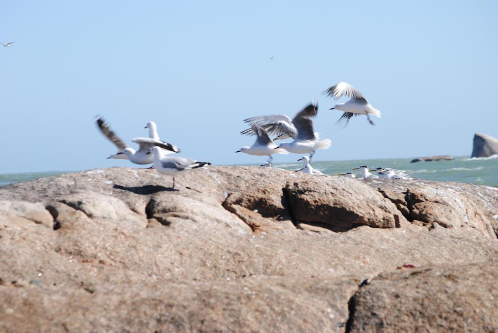 Stay At Bokkoms In Paternoster Self Catering Accommodation Екстер'єр фото